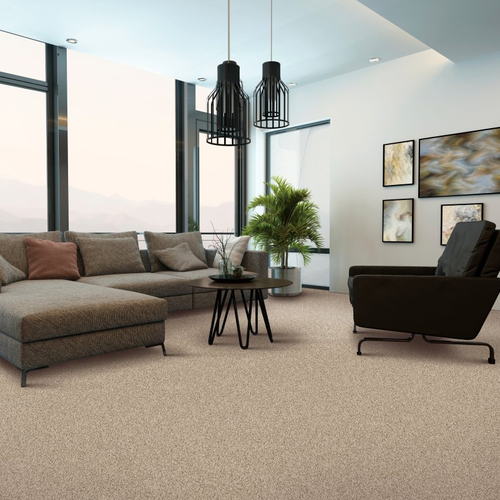 Living room with comfy carpet -  Soft Sensations I - Almond Latte