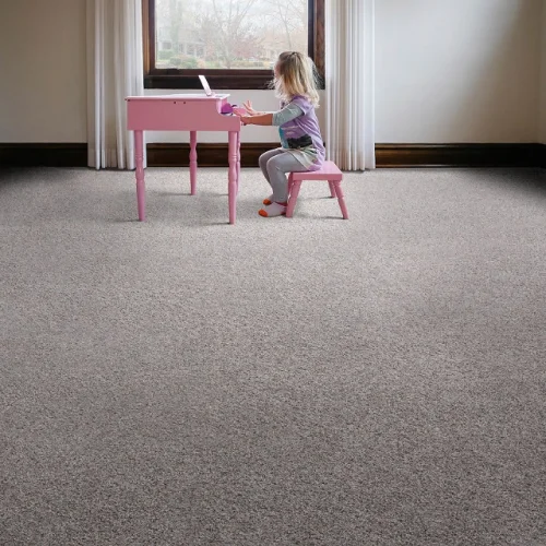 Plush/Cut Pile carpet - Carpet Barn LLC in Demotte, IN